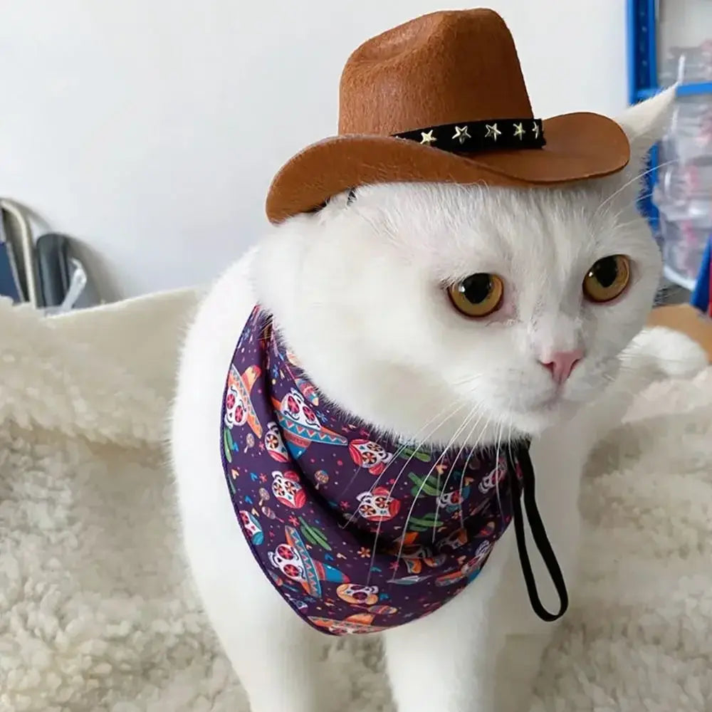 Star Cowboy Hat Pet