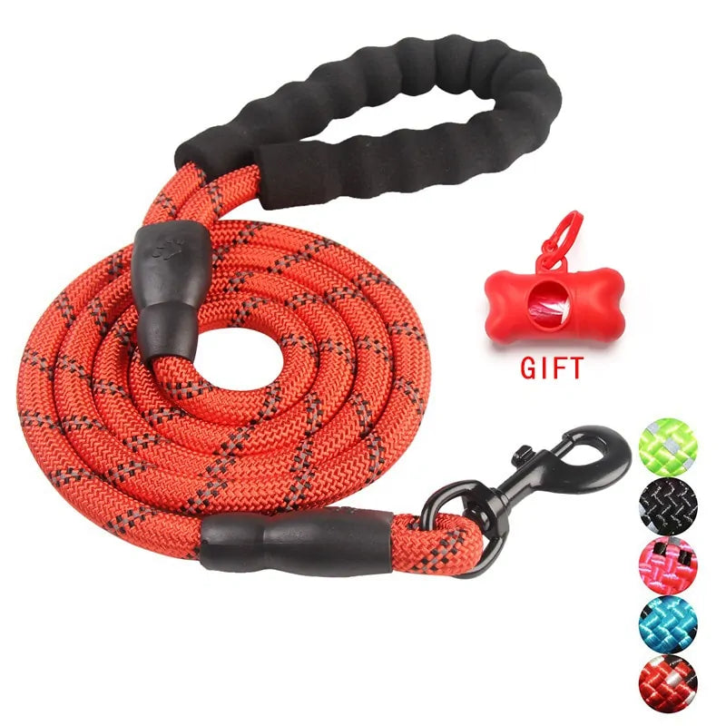 Pet Dog Leash Walking Training Leash